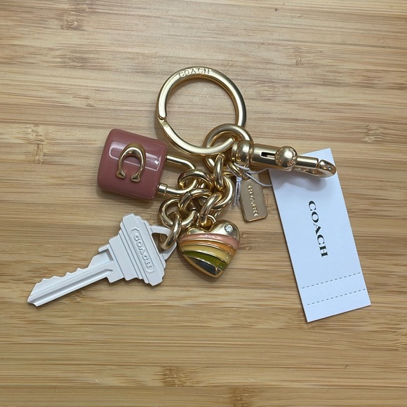 Coach Tabby Wristlet in Grey Blue & Key Cluster Bag Charm Set - Picture 7 of 17